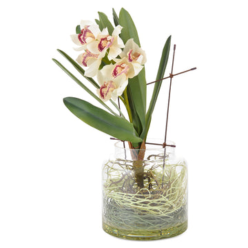 ORHIDEE Aranjament flori artificiale de la Mobexpert