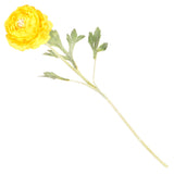 galben/verde