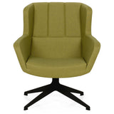 verde/negru