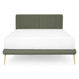 verde inchis/auriu / bone-14-negru