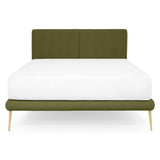 verde/auriu / bone-14-negru
