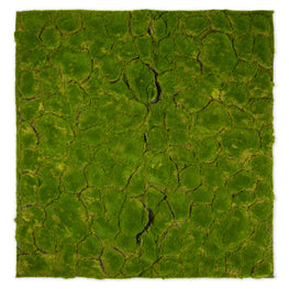 MOSS Mușchi decorativ, 100x100cm