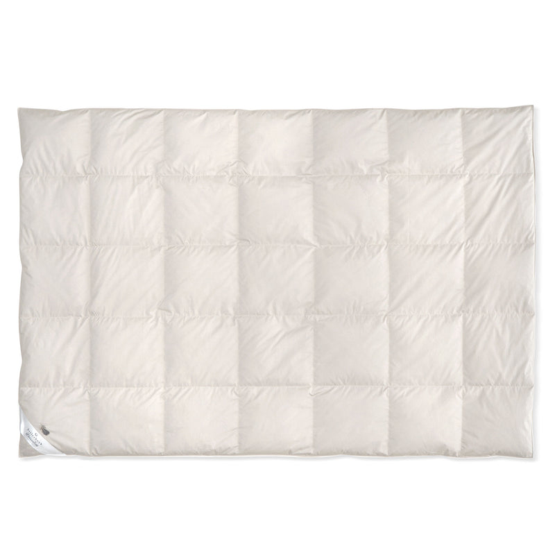 MEYRIN MORSA Pilotă