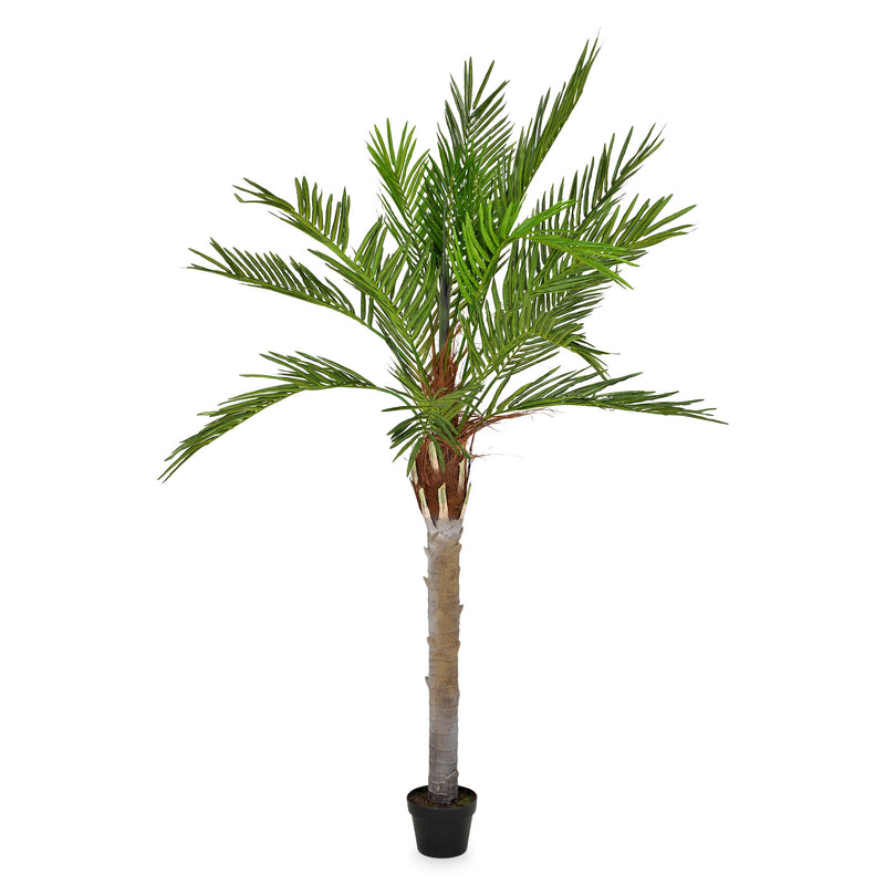 PHOENIX PALM Copac artificial în ghiveci H.162cm