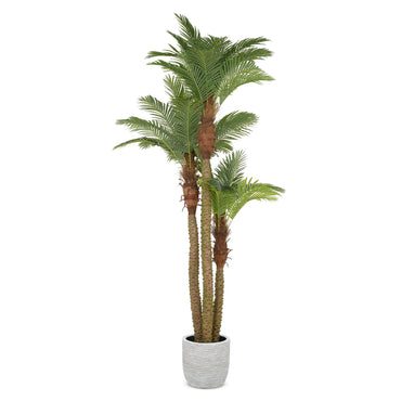 ARECA PALM Copac artificial în ghiveci, H.300cm