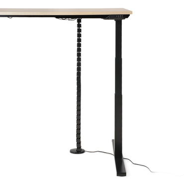 SPINE Trecere cabluri