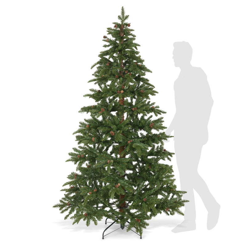 QUEBEC Brad Craciun, H.210 cm