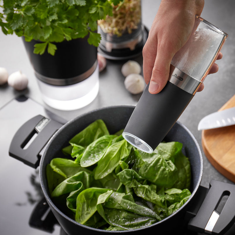 GIVA Râșniță electrică sare/piper