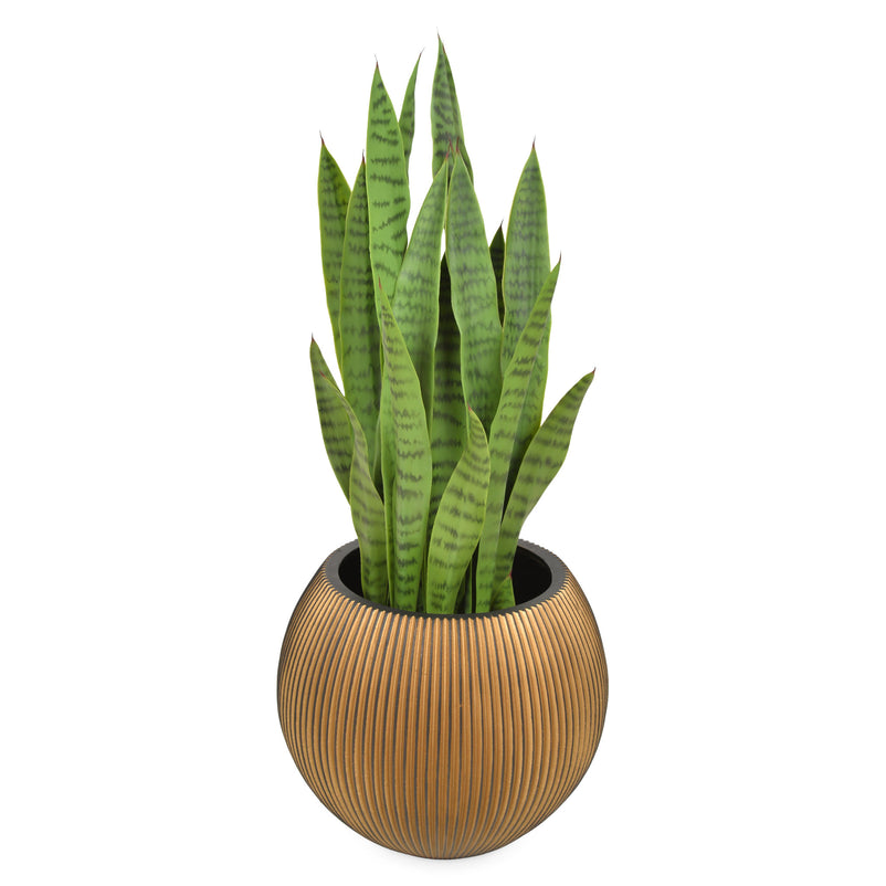 GROOVE Vas decorativ ghiveci