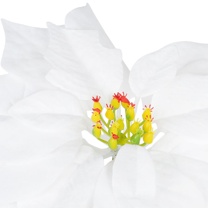 CRACIUNITA Floare decorativă