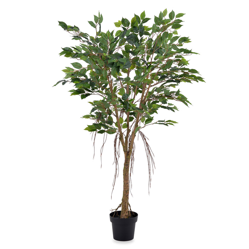 FICUS Copac artificial