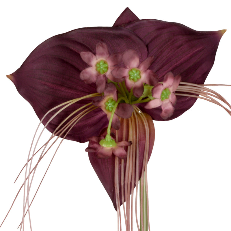 TACCA Floare artificială