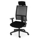 CHOICE Scaun ergonomic birou