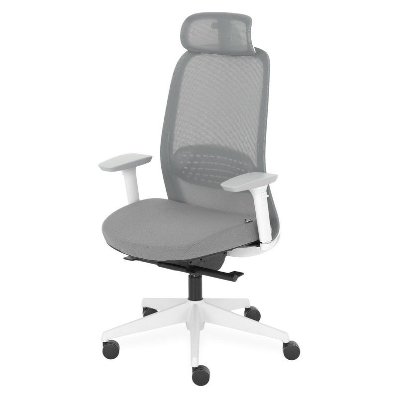 STYLE Scaun ergonomic birou