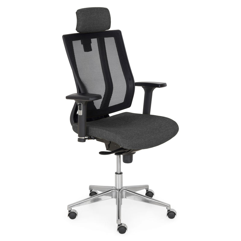 PROMAX-CR Scaun ergonomic birou