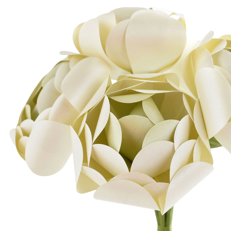 RANUNCULUS Buchet din flori hârtie