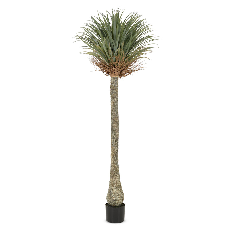 YUCCA Copac artificial în ghiveci, H.225cm