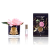 FRENCH ROSES Difuzor parfum cameră