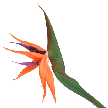 BIRD OF PARADISE Floare artificială