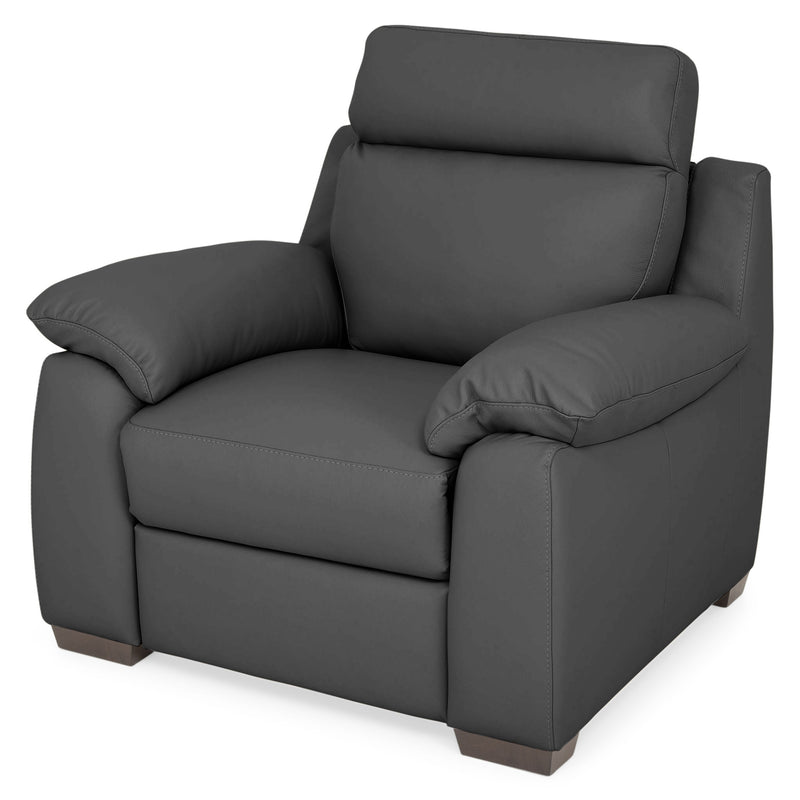 TORRENS Fotoliu cu recliner electric, piele