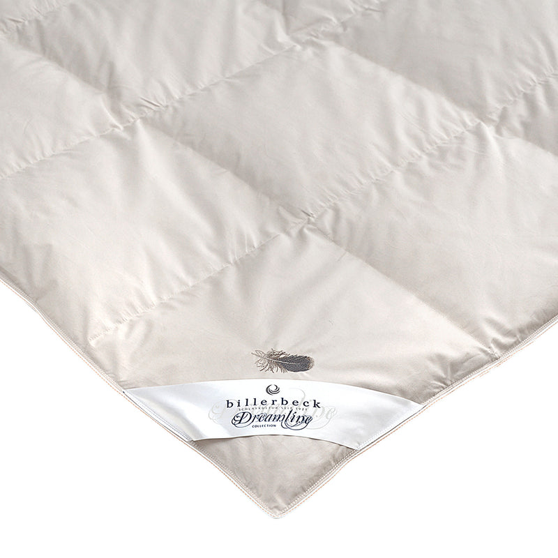 MEYRIN MORSA Pilotă