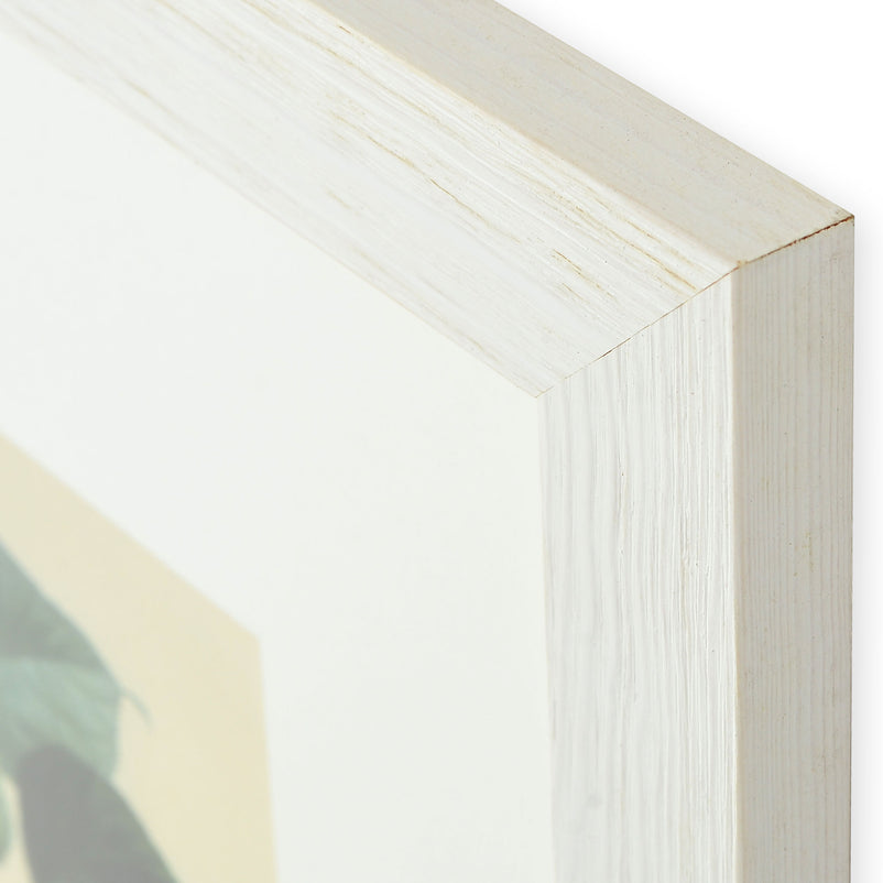 ALBERGUER FRANC Poster înrămat