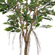 FICUS Copac artificial