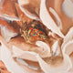 MELODY II Tablou canvas 90x120