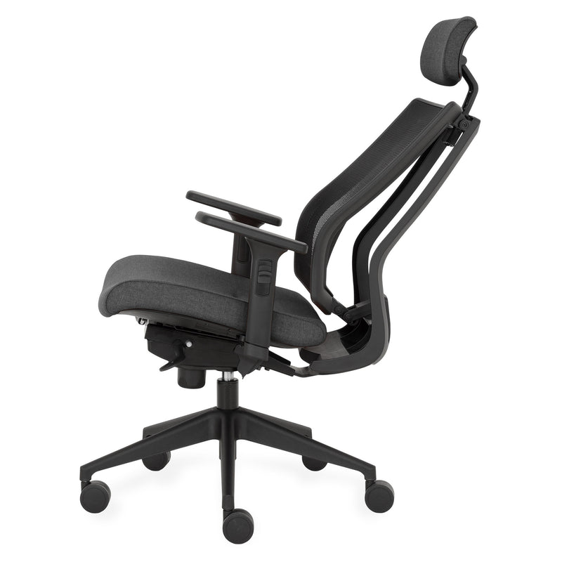 PROMAX Scaun ergonomic birou