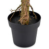 FICUS Copac artificial