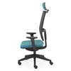 CHOICE Scaun ergonomic birou