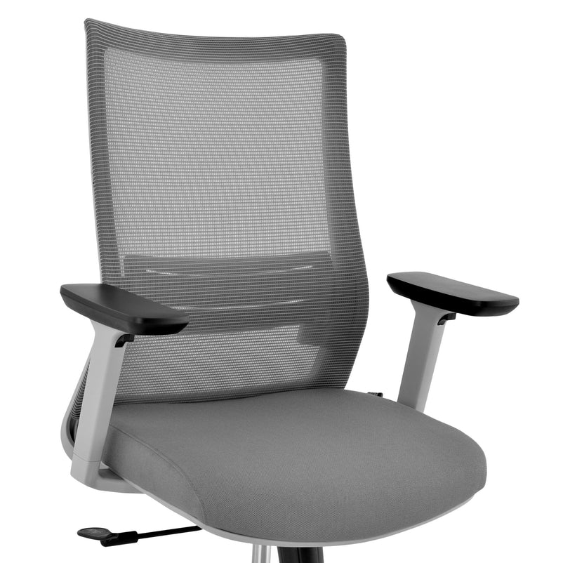 CESARO Scaun ergonomic birou