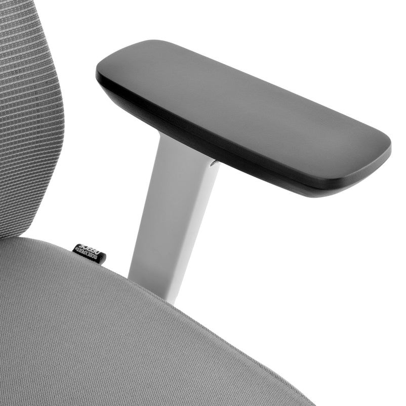 CESARO Scaun ergonomic birou