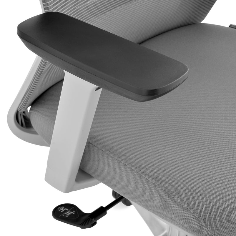 CESARO Scaun ergonomic birou