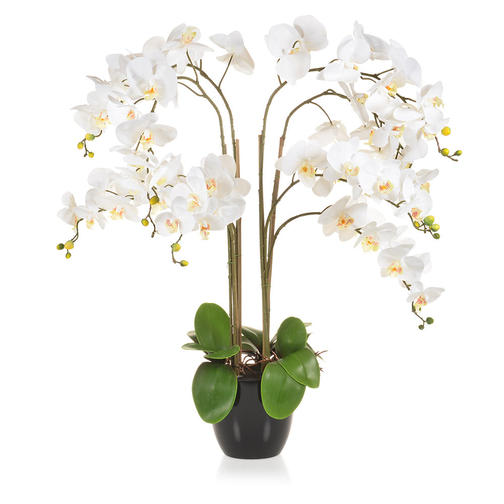 the Internet Toll Bend Flori artificiale și aranjamente florale decorative | Cumpără online -  Mobexpert