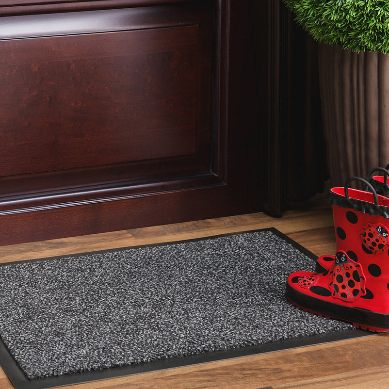 PORTAL Covoras intrare