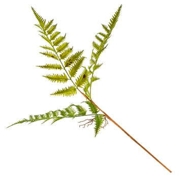 FERIGA Plantă artificială de la Mobexpert