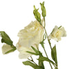 LISIANTHUS Floare artificială