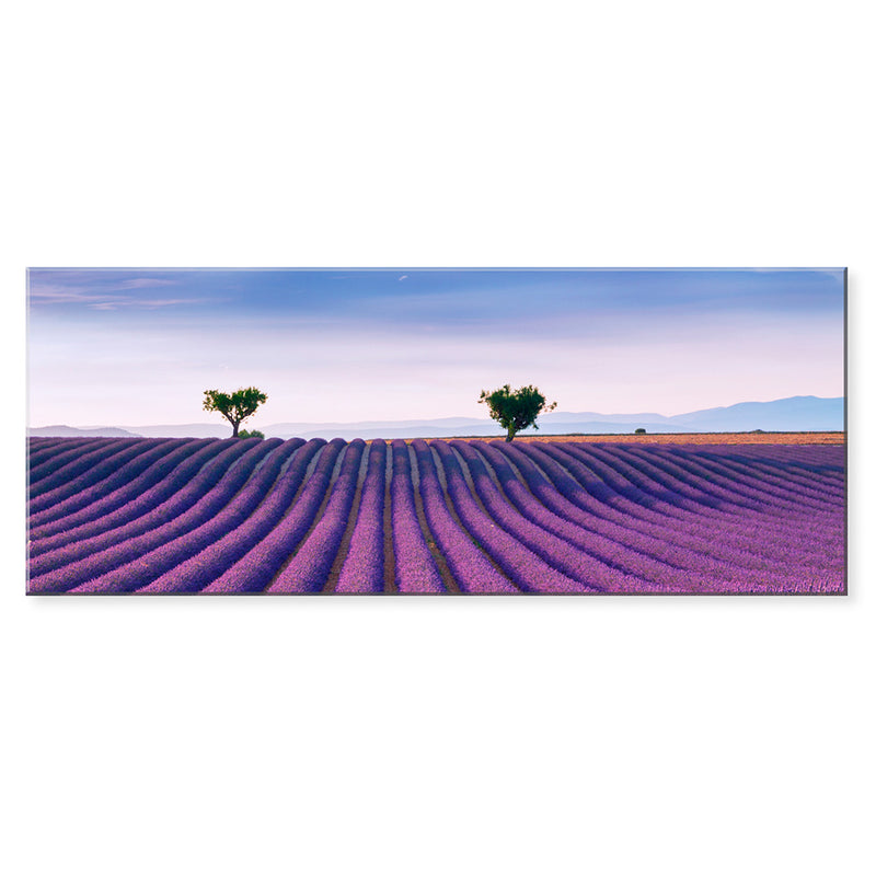 Tablou sticla 50x125 cm LAVENDER FIELD