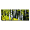 Tablou canvas 50x130 cm BIRCH FOREST