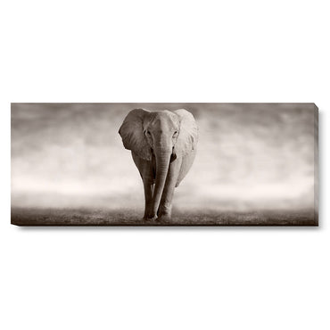 Tablou canvas 50x125 cm ELEPHANT KING