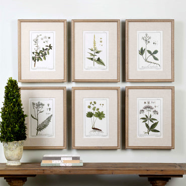 GREEN FLORAL BOTANICAL STUDY Set 6 tablouri